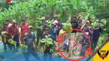 Anggota Kelompok Tani Hutan Akar Berkah menunjukkan lokasi tanaman yang ditebang dan melakukan solidaritas di lahan garapan di Sukamakmur, Bogor, Kamis (21/08/2025). (Foto: Dok. Jurnalis BBTV)