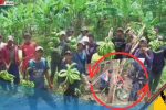 Anggota Kelompok Tani Hutan Akar Berkah menunjukkan lokasi tanaman yang ditebang dan melakukan solidaritas di lahan garapan di Sukamakmur, Bogor, Kamis (21/08/2025). (Foto: Dok. Jurnalis BBTV)