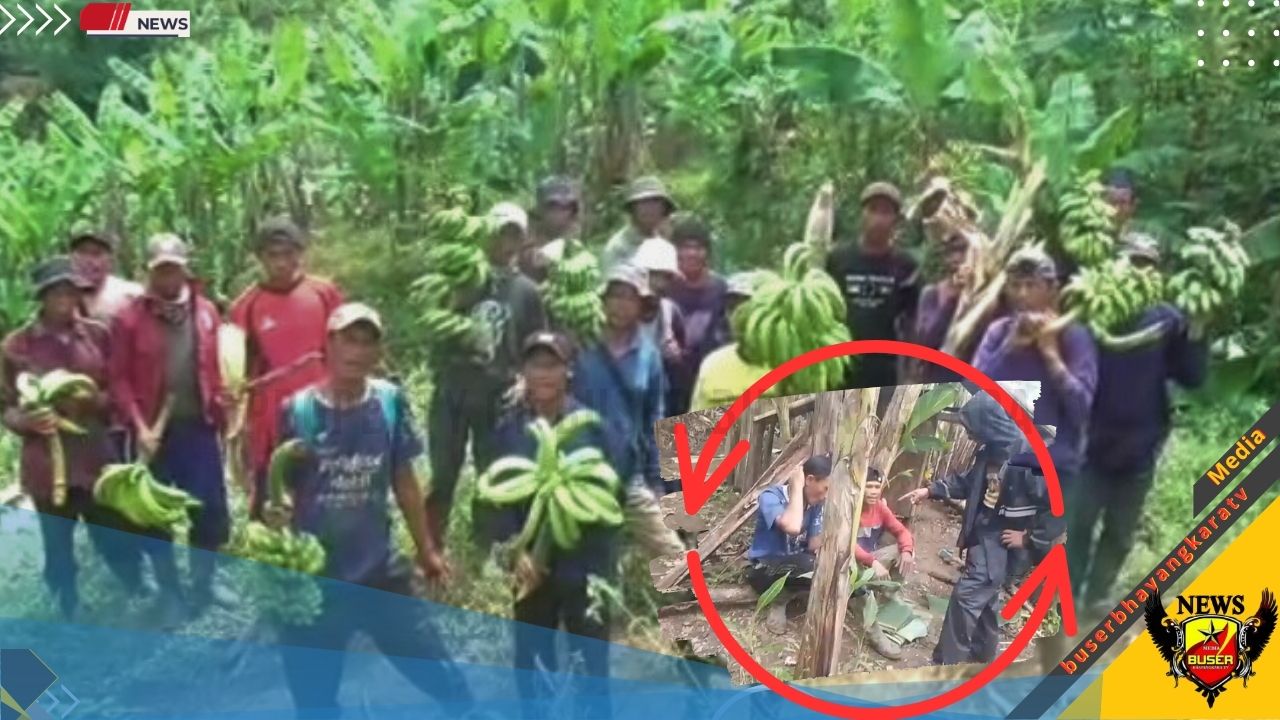 Anggota Kelompok Tani Hutan Akar Berkah menunjukkan lokasi tanaman yang ditebang dan melakukan solidaritas di lahan garapan di Sukamakmur, Bogor, Kamis (21/08/2025). (Foto: Dok. Jurnalis BBTV)